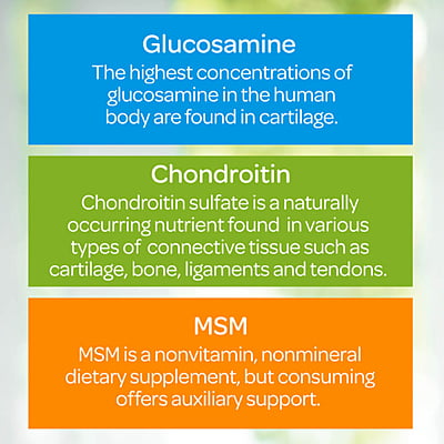 Glucosamina, condroitina y MSM-2